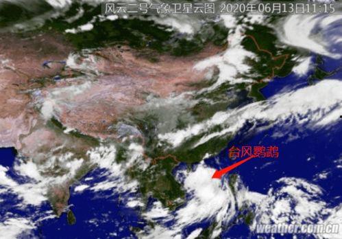 台风鹦鹉最新爆料,最新动态及防范措施全解析”  第2张